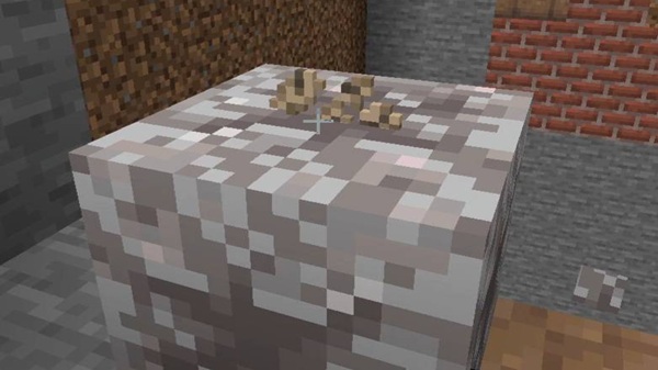 Biome Compass Reimagined Addon minecraft pe