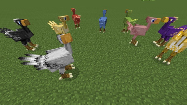Chocobos Addon minecraft