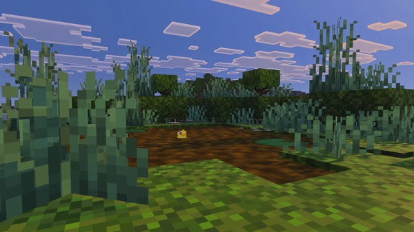 Just Rubber Duck’es Addon mcpe