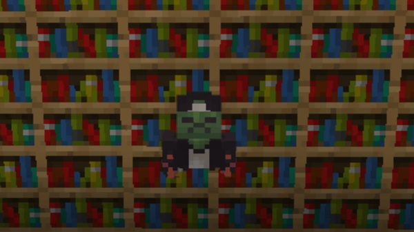 One Way Ghost Blocks Addon minecraft