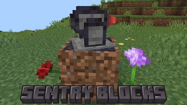 Sentry Blocks
