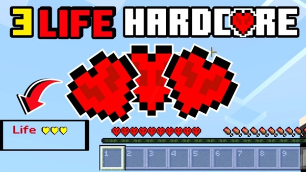3 Life Hardcore