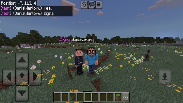 Bedrock Teams Addon minecraft