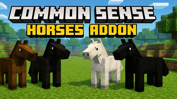 Common Sense: Horses
