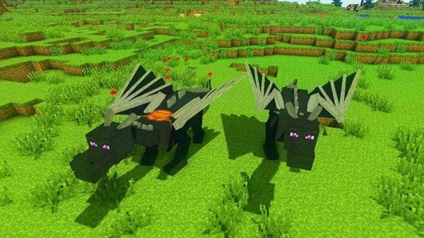 Dragon Mounts Addon mcpe download