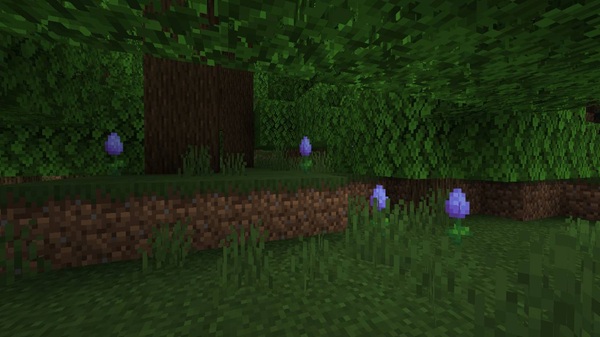 Floral Flair Addon minecraft download