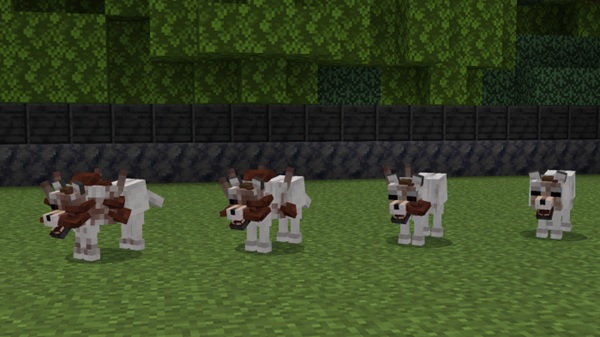 Fungus Hazard Addon minecraft pe