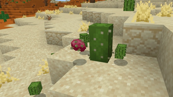 Natural Structure Redone Addon mcpe bedrock