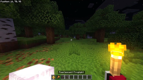 Offhand Dynamic Lights Addon mcpe bedrock