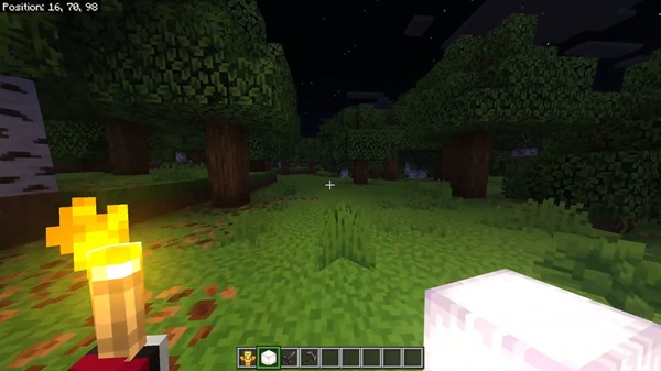 Offhand Dynamic Lights Addon minecraft download
