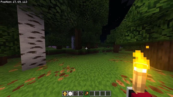 Offhand Dynamic Lights Addon minecraft