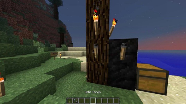 Realistic Torch Addon download