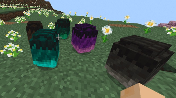 System Wyverns Addon minecraft pe