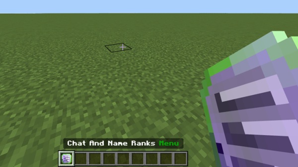 Chat And Name Rank Addon minecraft