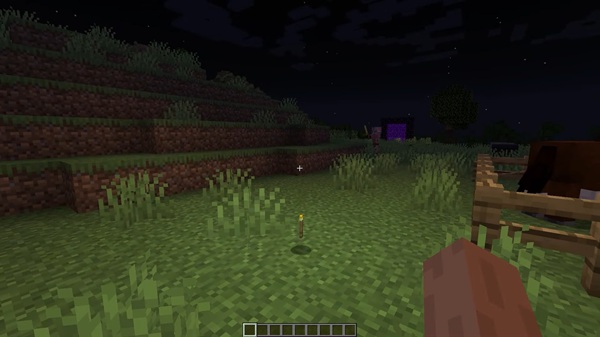 Dynamic Flashlight Addon mcpe download