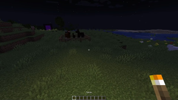 Dynamic Flashlight Addon minecraft pe