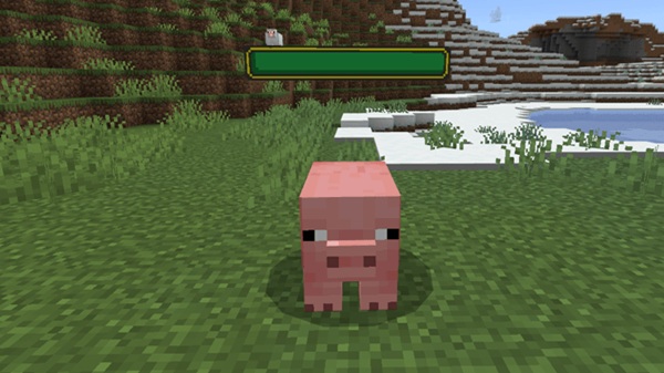 Health Bars FWS Addon mcpe download