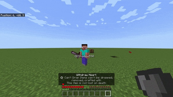 Lifesteal Addon minecraft