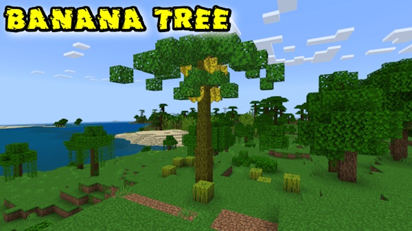 More Fruit FWS Addon mcpe bedrock
