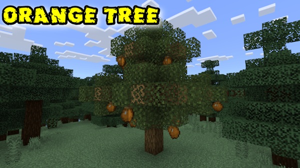 More Fruit FWS Addon minecraft pe
