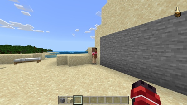 NameTag Hidden Addon mcpe bedrock