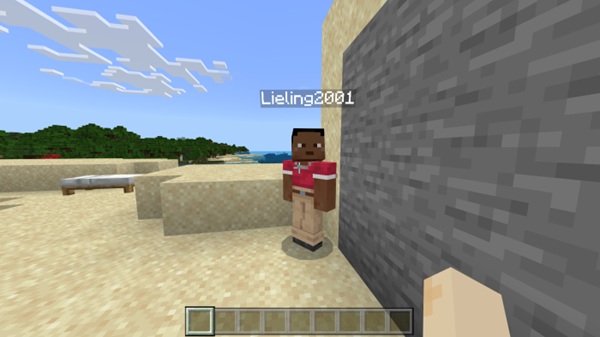 NameTag Hidden Addon mcpe download