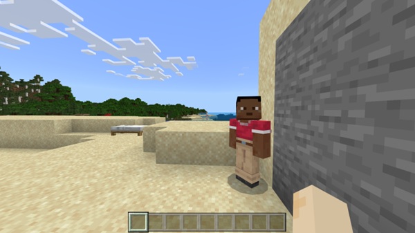 NameTag Hidden Addon minecraft pe
