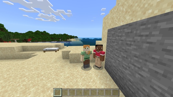 NameTag Hidden Addon minecraft