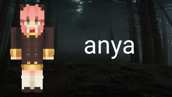 Not Just A Waifu Addon minecraft