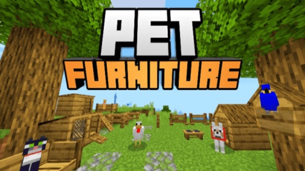 Pet Furniture