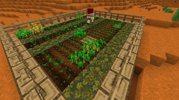 Phoenix Family Addon minecraft pe