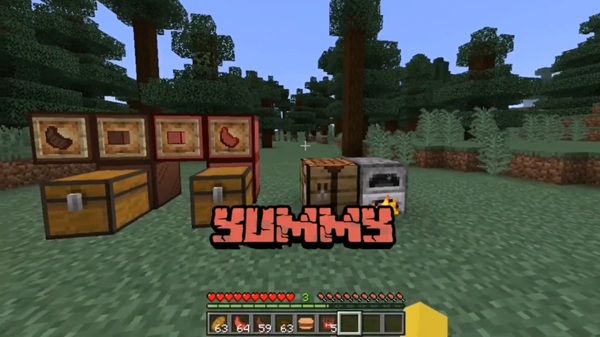 Player’s Meat Addon mcpe download