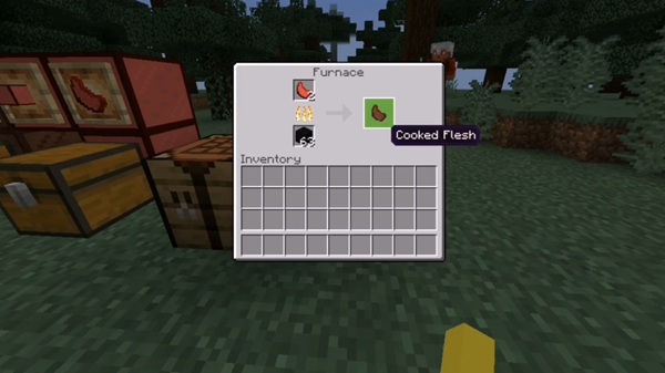 Player’s Meat Addon minecraft pe