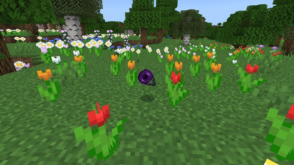 Portable Portal Addon mcpe bedrock