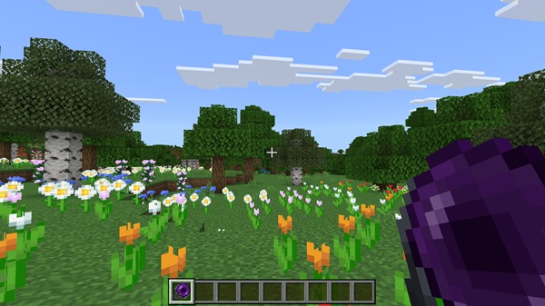 Portable Portal Addon mcpe download