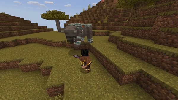 Sword Blocking Addon minecraft