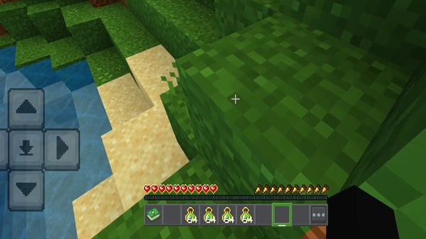 True Experience Book Addon minecraft