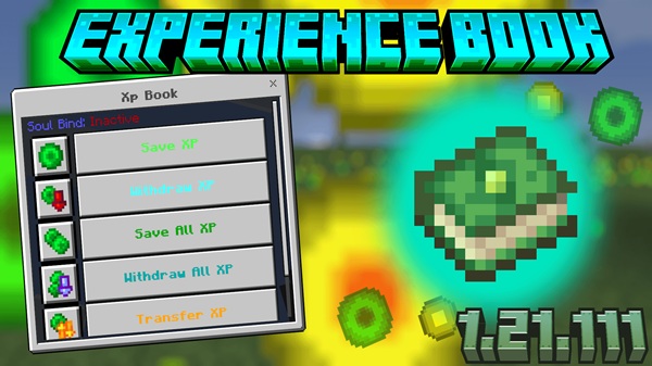 True Experience Book