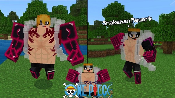 Asa’s One Piece addon