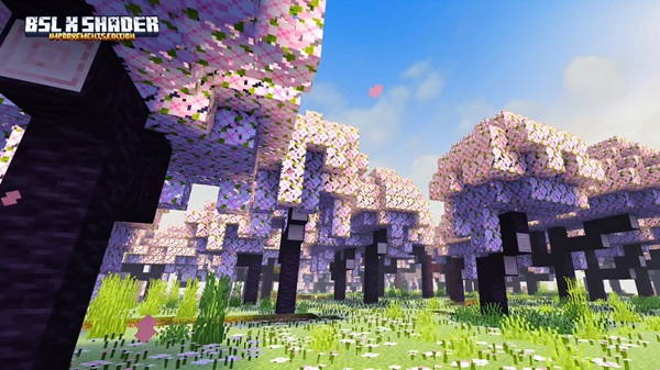 BSL X Improvement Shader minecraft pe download