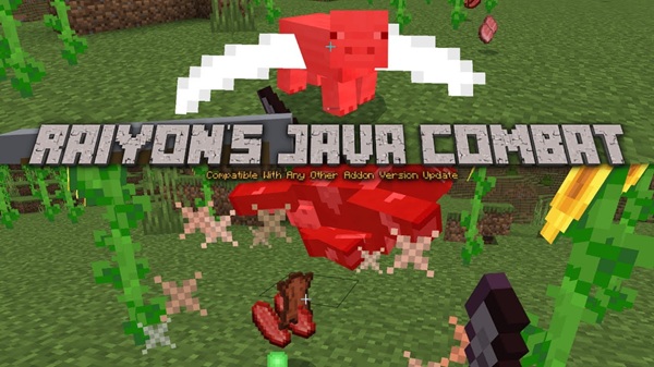 Raiyon’s Java Combat