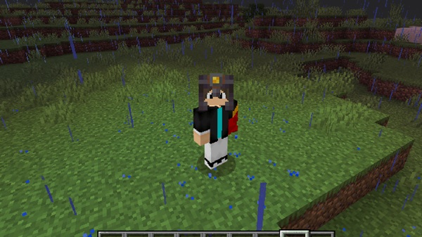 System Dynamic Light Addon minecraft (2)