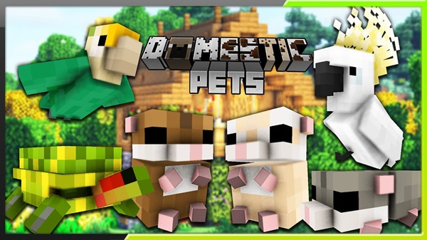 DomesticPets