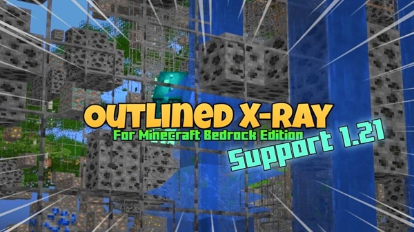 Xray Outline