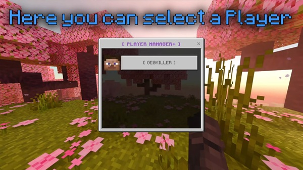 Better Chat Ranks mcpe