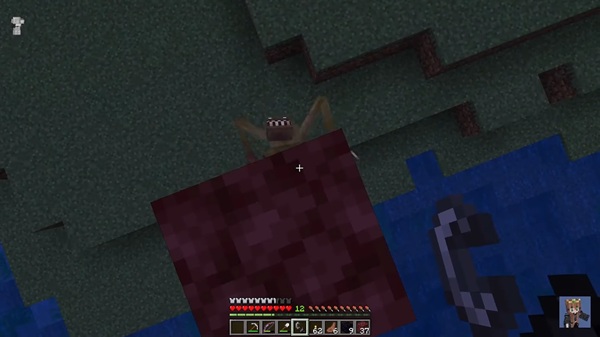 Cave Dweller Addon mcpe