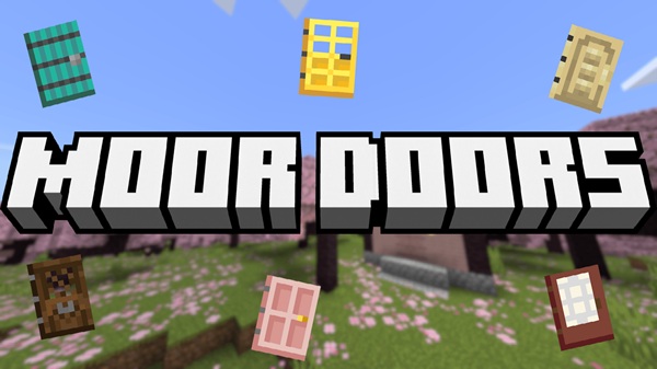 Moor Doors