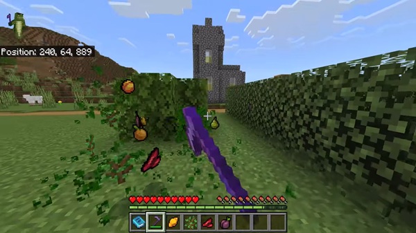 More Food Addon download mcpe