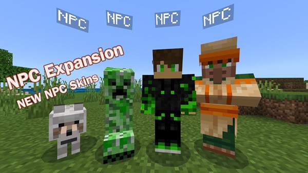 NPC Expansion