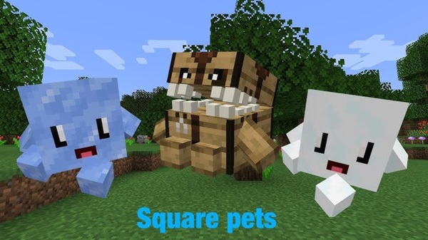 Block Pets Addon minecraft